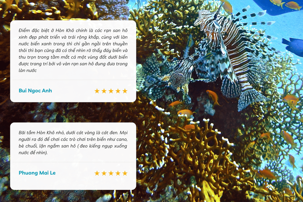 Lặn ngắm san hô Hòn Khô là trải nghiệm không nên bỏ lỡ khi ghé thăm Hòn Khô (Nguồn: Internet)